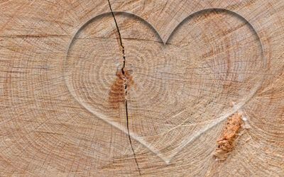 Pourquoi choisir le bois pour embellir son extérieur ?