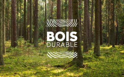 Choisir des essences de bois locales : un choix écoresponsable