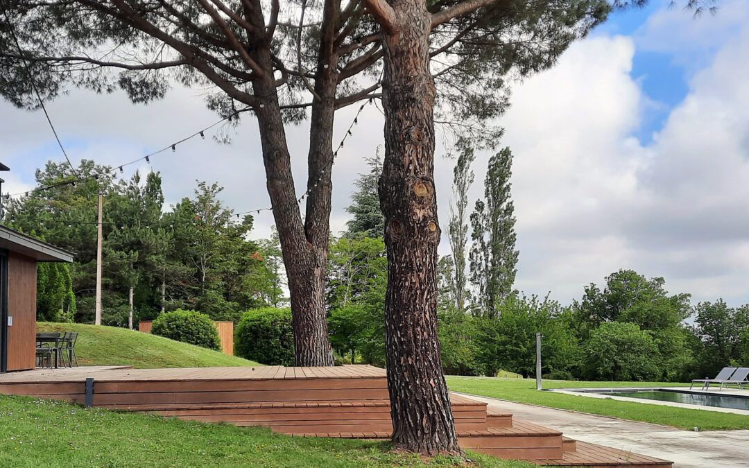 Zoom sur nos réalisations