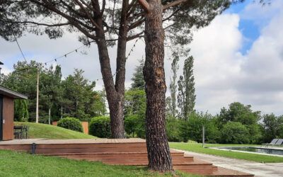 Zoom sur nos réalisations