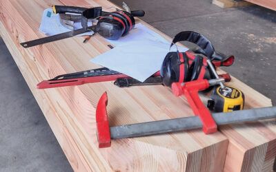 Quel bois choisir pour sa pergola ?