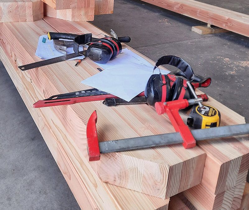 Quel bois choisir pour sa pergola ?